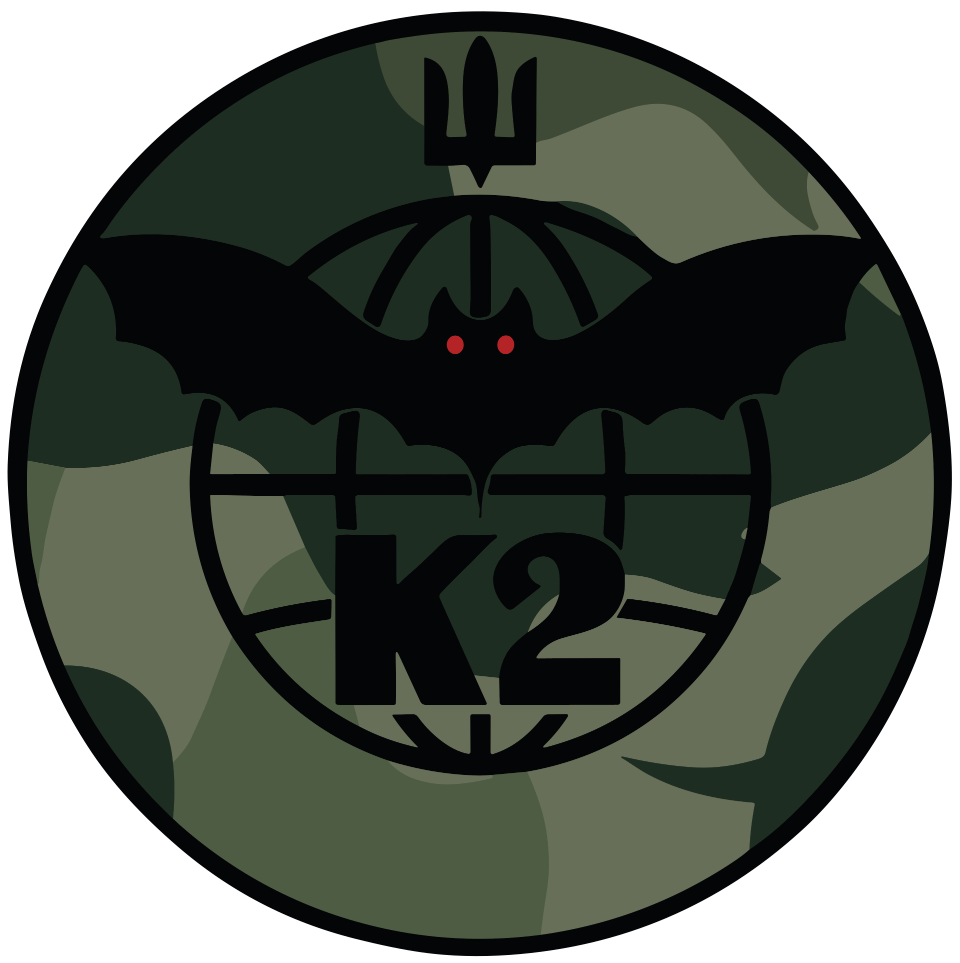 20th Separate Regiment of K-2 Unmanned Systems